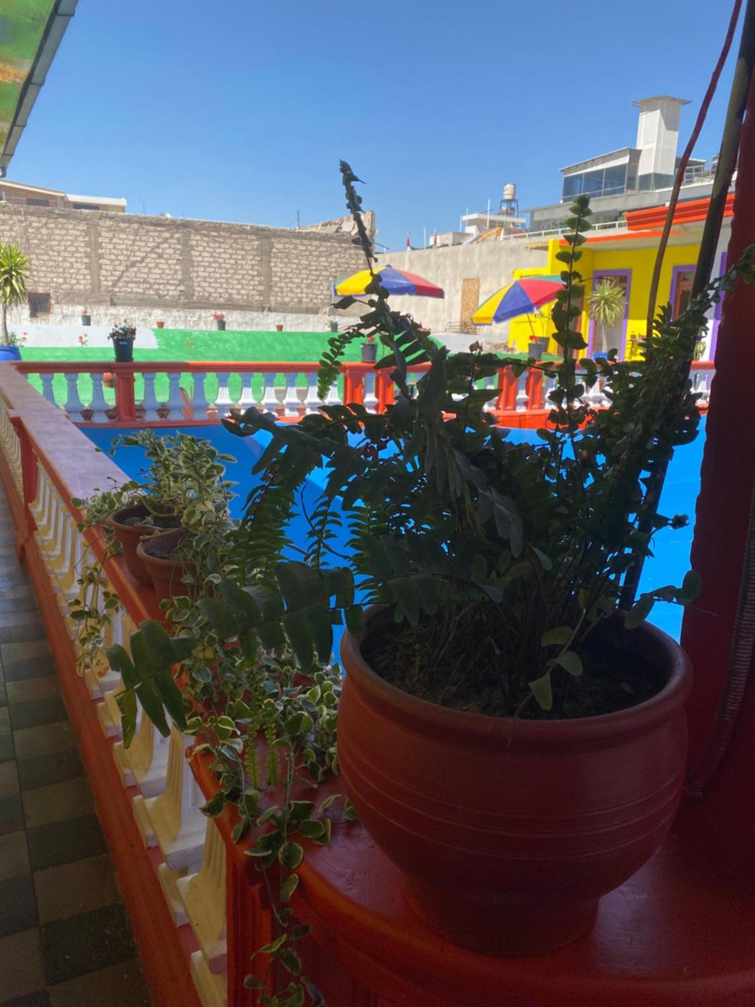 Pusary Hostel Arequipa Exterior photo
